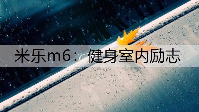 <strong>米乐m6：健身室内励志</strong>