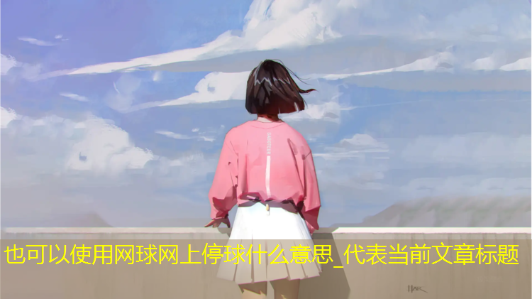 网球网上停球什么意思_