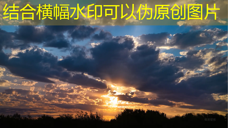 云浮工程塑胶跑道价格