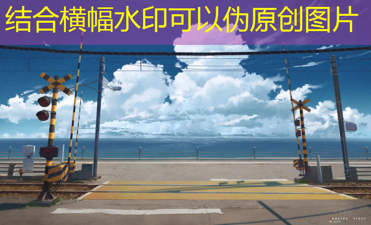 网球网易云音乐
