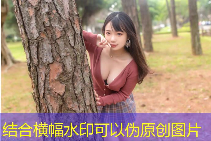 塑胶跑道费用低