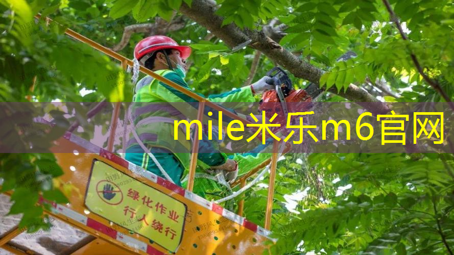 米乐m6官网：大庆哪里可以修网球拍杆