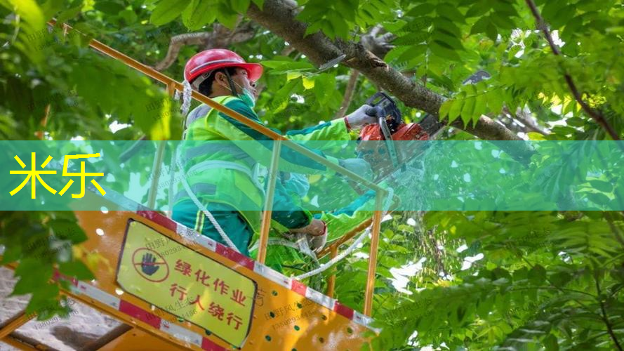 网球拍手把内柄坏了
