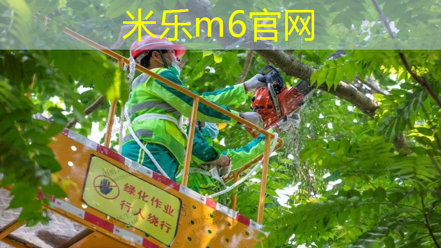 米乐m6官网：网球拍怎么带在身上不会掉