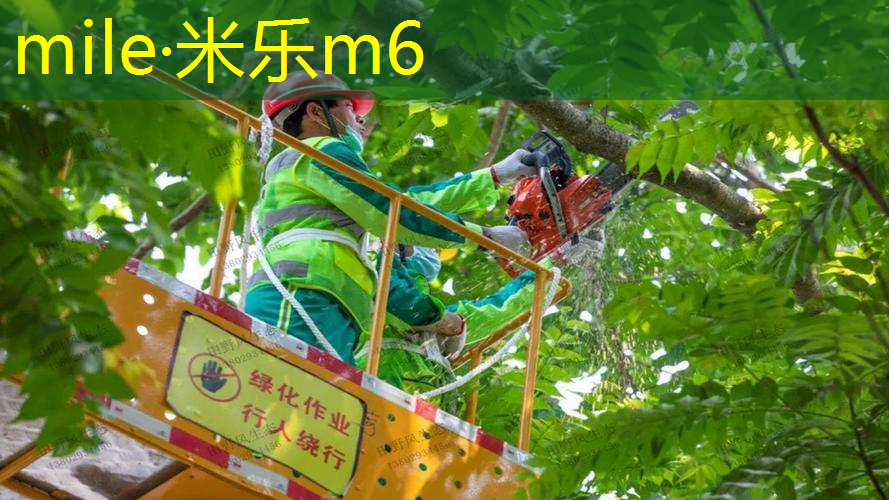 新手怎样选择网球拍杆材质