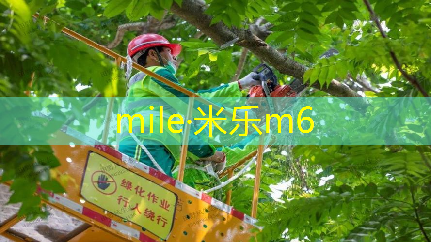 米乐m6官网登录入口：威尔森网球拍怎么选择型号