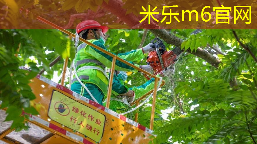mile·米乐m6：用网球拍击打巨型果冻