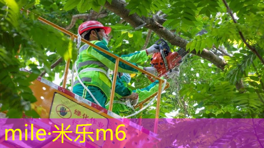 mile·米乐m6：手握网球拍尾部疼怎么回事