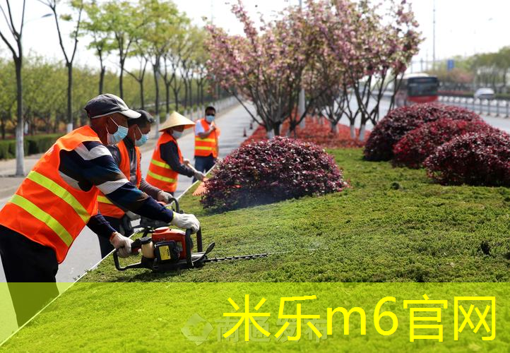 mile米乐m6官网：海德德约科维奇网球拍