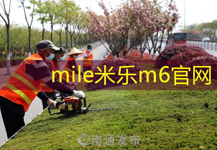 mile米乐m6官网：网球拍线和手胶多重