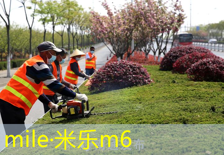 米乐m6官网：单杠练习的好处：了解单杠动作对身体的益处！