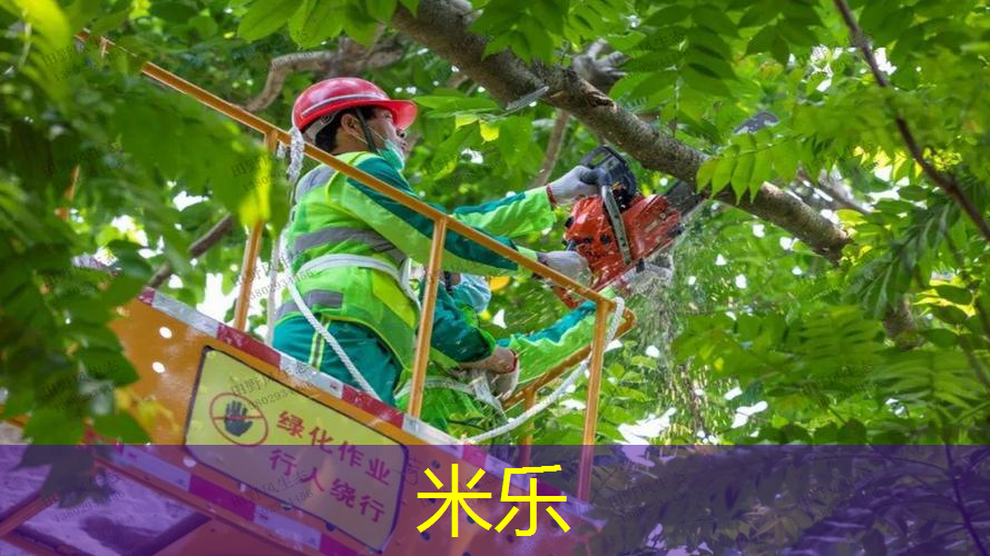 米乐：家里附近没有乒乓球台怎么办