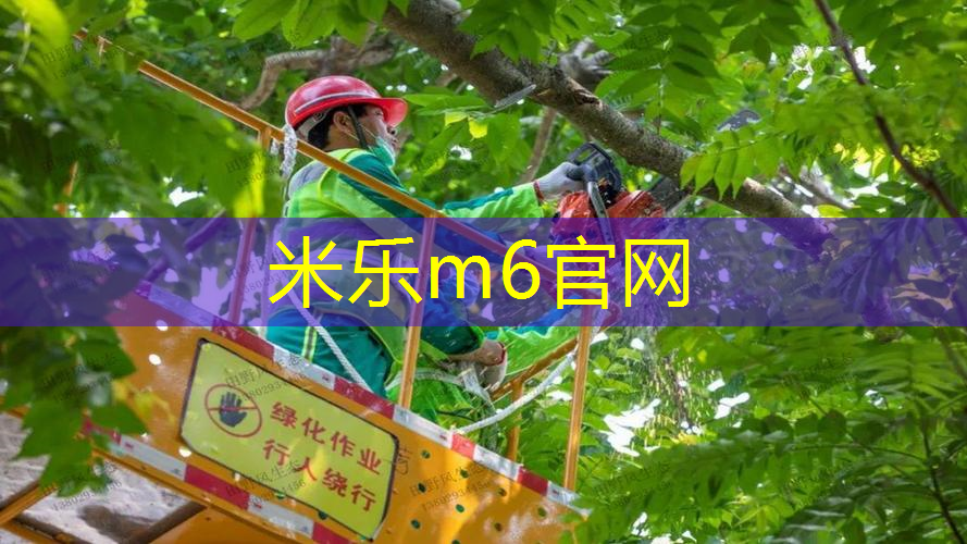 米乐m6官网登录入口：确保运动质量的重要因素！详解体育塑胶跑道材料的特点