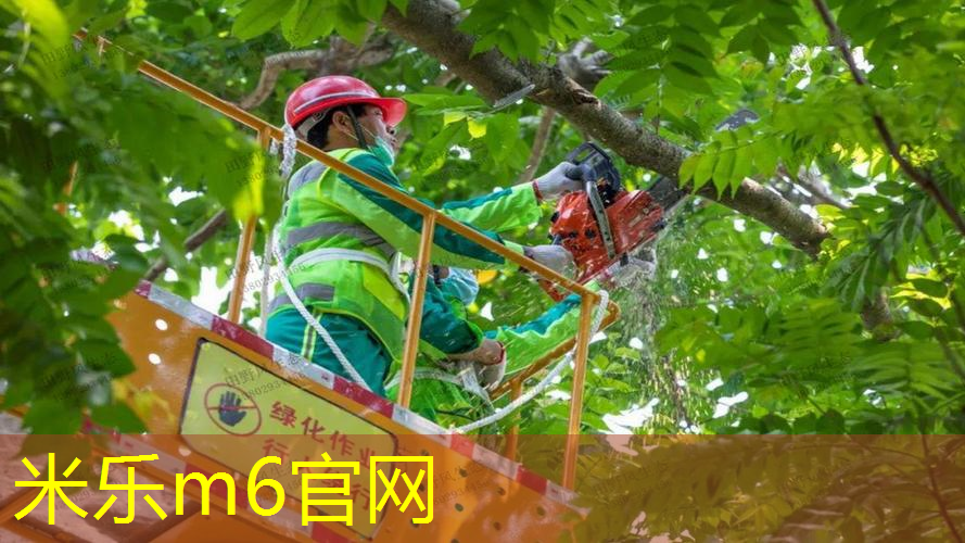 米乐m6官网登录入口：乒乓球台垫