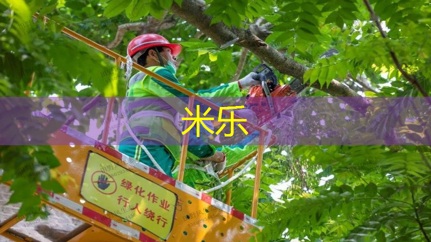 网球拍超大拍面怎么选