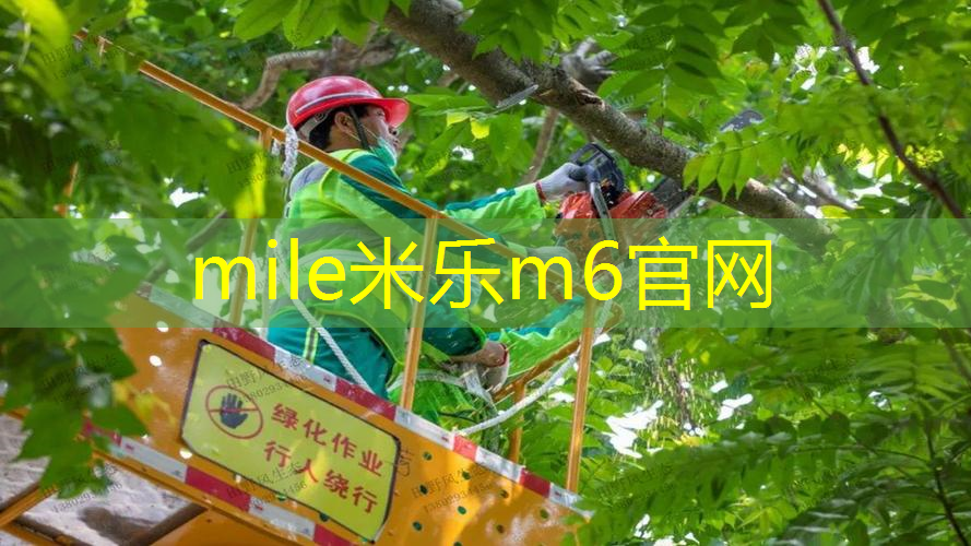 网球拍手把内柄坏了