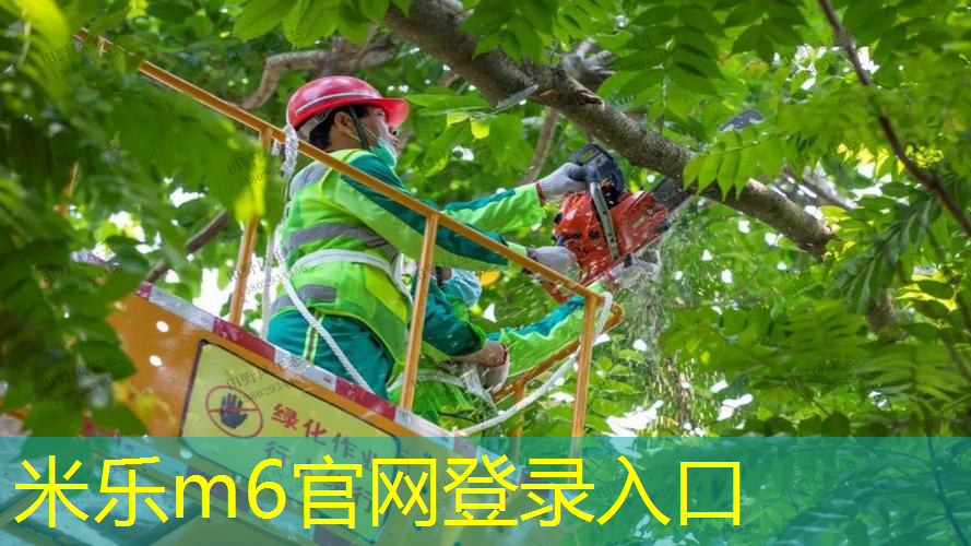 网球拍怎么带在身上不会掉