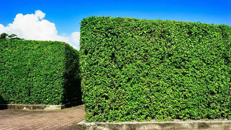 网球拍防震膜怎么粘住胶带