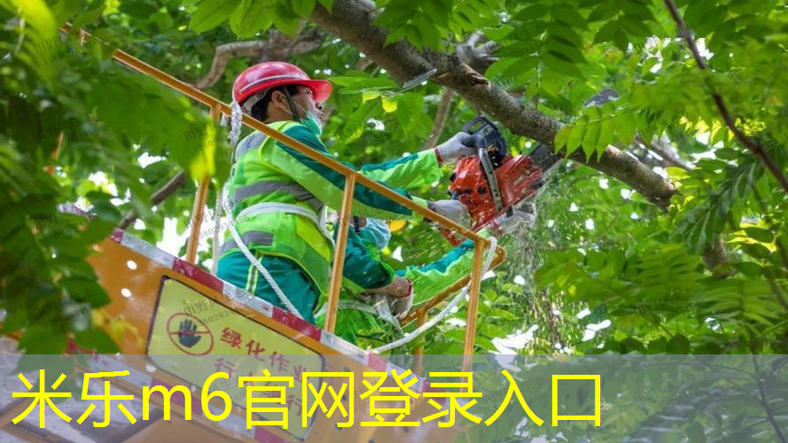 威尔森网球拍怎么选择型号