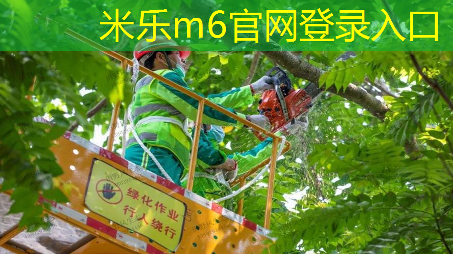 用网球拍击打巨型果冻