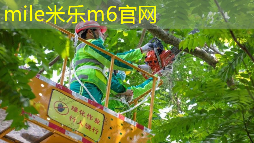 网球拍穿一次用多长