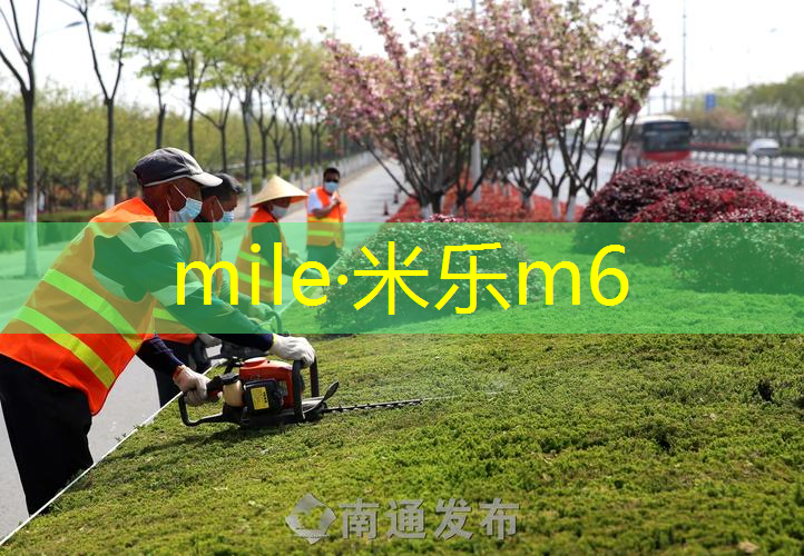 哪个网球拍好用又便宜