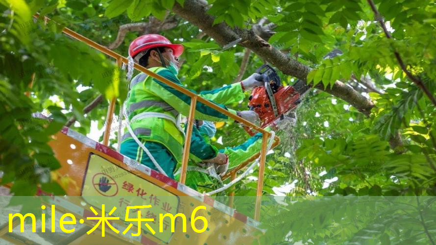 网球拍正确的握拍方式是