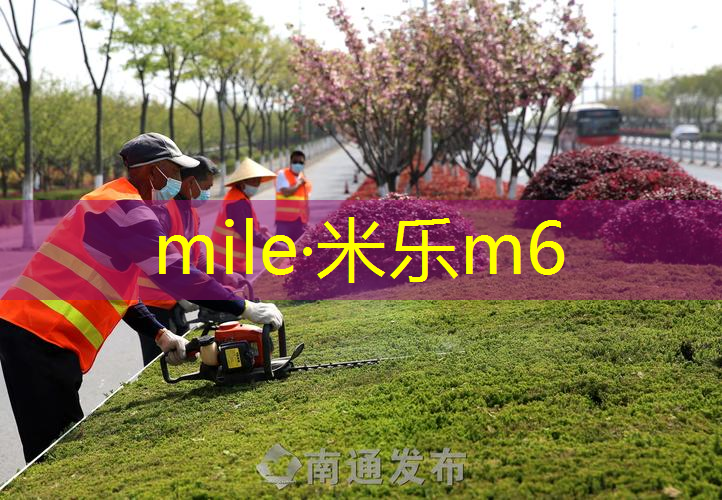 网球拍线和手胶多重