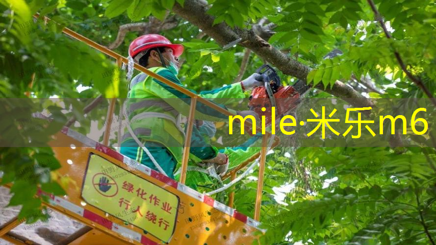 400米8道塑胶跑道面积