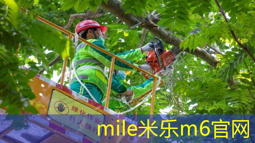 家里附近没有乒乓球台怎么办
