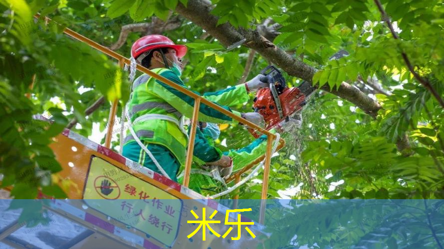 室内健身练二头