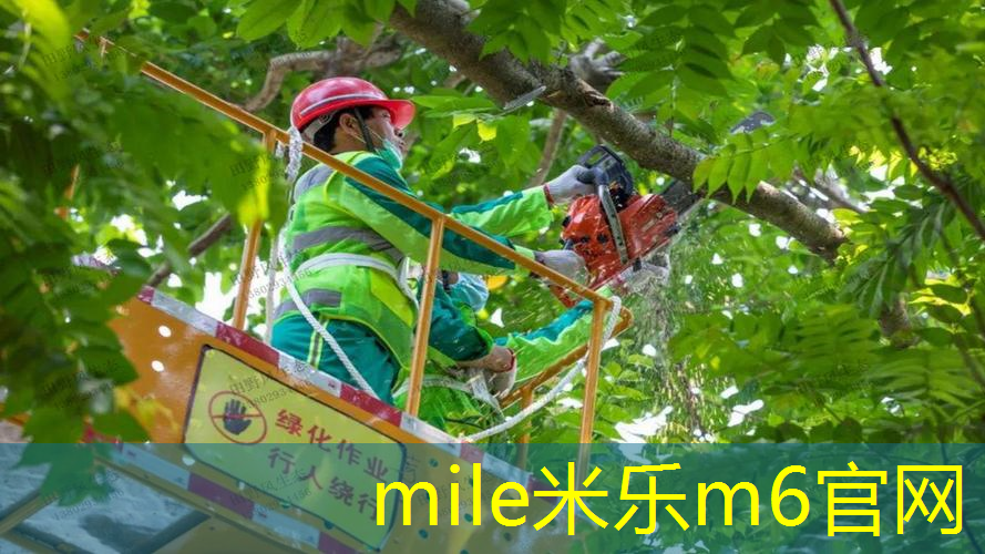 乒乓球台垫